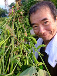 枝豆販売致します