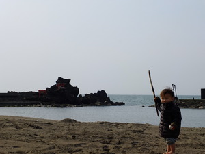 家族