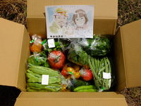 高松へ、野菜セットを発送