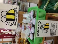 いよいよ販売開始！