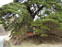 火山峠にある芭蕉と井月の句碑