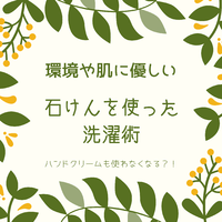 12月15日㈫石けんを使った洗濯術【オンライン】 2020/12/12 16:46:39