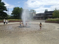 水遊び＊昭和の森公園