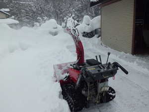 雪は勘弁