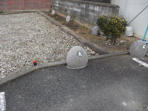 自然石に
