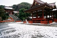 はだれゆき鶴岡八幡宮