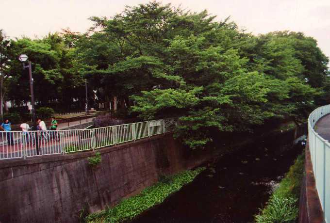 大宮八幡宮と鎌倉街道