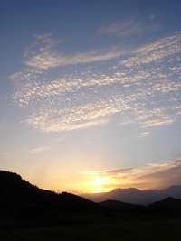 太陽柱　その２