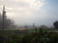 朝霧と農業