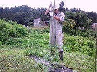やよい農園の連休