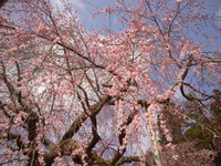 長野へ戻り・・・