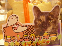 ハロウィン限定パッケージ☆にゃんこクッキー