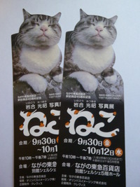 岩合光昭　ねこ　写真展