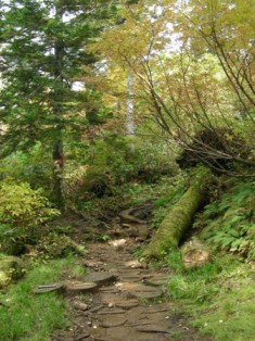 苗場山登山