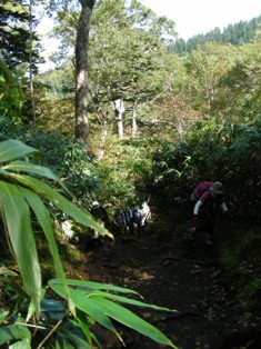 苗場山登山